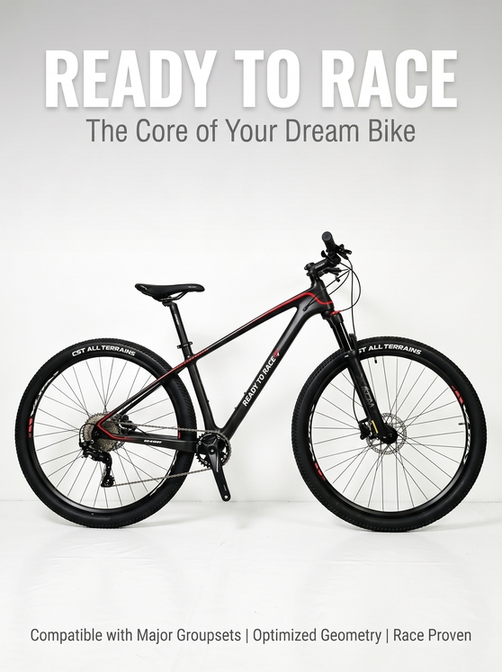 Carbon Fiber Bike Frame-6